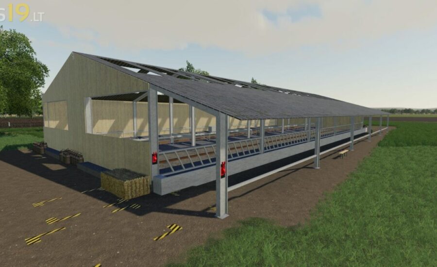 Projekt obory dla krów mlecznych