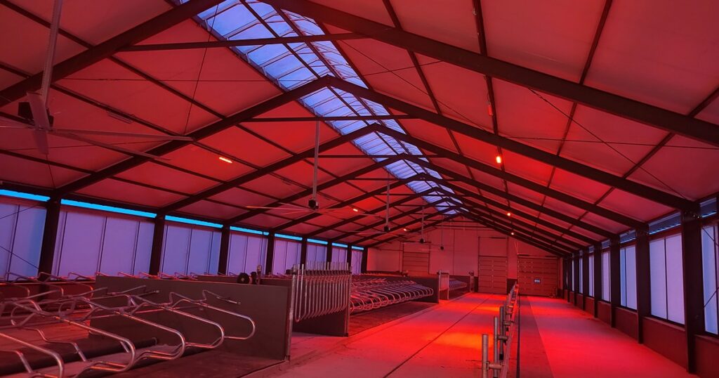 Czerwone lampy inspekcyjne do obory